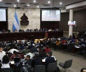 Por represalias políticas, argumentan, fueron despedidos.