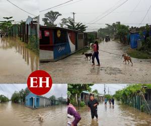 Varios pobladores de Choloma, Cortés amanecieron completamente inundados la mañana de este domingo 9 de Octubre a causa de los efectos de la tormenta Julia. El río Bijao del mismo municipio arrastró a una mujer de 22 años y tras una búsqueda por parte de los bomberos fue encontrado su cuerpo sin vida. Además, pobladores tuvieron que desplazarse de los lugares de riesgo. A continuación te mostramos las imágenes.