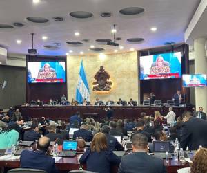 El Congreso Nacional es quien al final aprueba el listado de coroneles nominados a generales de brigada.