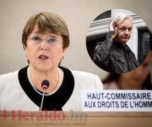 Michelle Bachelet, pide, le garanticen el respeto de los derechos humanos de Assange y en particular el derecho a un juicio justo y a las garantías de un debido proceso. En el 2019, Estados Unidos, acuso de espionaje Julian Assange.