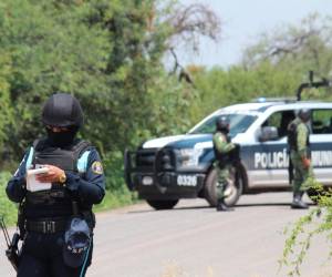 Las fuerzas de seguridad de México realizaron un fuerte operativo en ese sector del país.