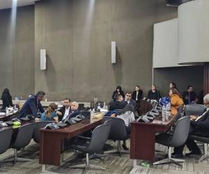 Después de nueve horas esperando el inicio de la sesión para la que fueron convocados a las 2:00 p.m., la mayoría de diputados de oposición se retiró de sus curules, pero no así del hemiciclo legislativo, donde permanece este martes 17 de diciembre, al filo de las 11:00 de la noche. Los parlamentarios hicieron una serie de advertencias y dejaron claro su temor de un “madrugón”.