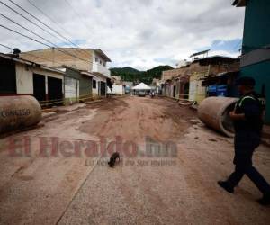 Cierran socavón de Prados Universitarios tras tres meses de trabajos