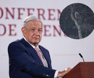 El presidente de México, Andrés Manuel López Obrador, publicó una terrorífica imagen en Twitter.