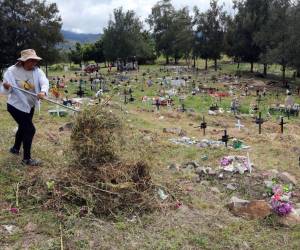 La Gerencia de Aseo, Orden Público y la Unidad de Gestión Ambiental participan en la limpieza y mantenimiento de los cementerios.