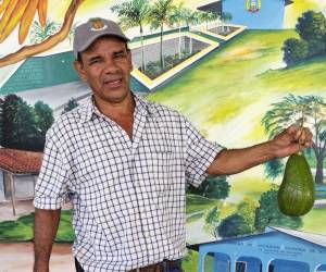 <i>Productores locales reciben capacitación técnica para mejorar las prácticas agrícolas en el cultivo de aguacate.</i>