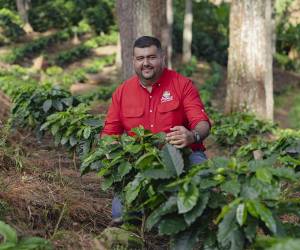 Aruco ha georreferenciado 227 fincas para asegurar su cumplimiento con estándares europeos.