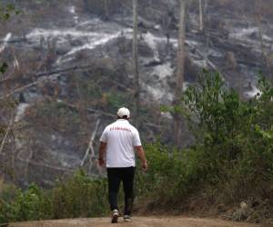 Se estableció una mesa de trabajo con reuniones mensuales, y se suspenderán temporalmente los desalojos en el Parque Nacional Patuca hasta el 23 de septiembre, siempre que no haya deforestación.