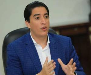 José Manuel Zelaya Castro, hijo de la presidenta de Honduras y asesor presidencial.