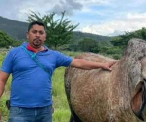 José Alberto Perdomo García era un reconocido empresario que se dedicaba al rubro de transporte de carga pesado en Intibucá, así como a la ganadería.