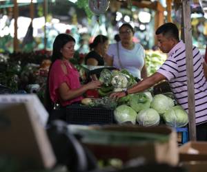 Feria del Agricultor, Estadio Nacional.