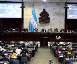 La comisión de finanzas del Congreso Nacional anunció el martes la llegada del dictamen a la cámara legislativa.