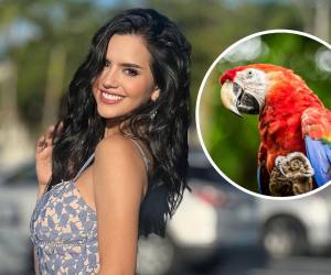 A una década de haber trazado las líneas del traje típico de Diana Schoutsen, Miss Honduras Universo 2013, Danilo García vuelven la mirada al Miss Universo en busca de códigos tradicionales.