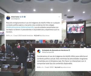 Luego de la reacción de la embajadora estadounidense, Laura Dogu, sus similares de Alemania e Israel han hecho uso de la red social X para manifestar su malestar ante la circulación del video.