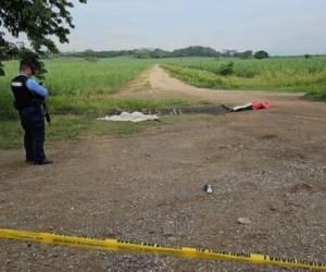 Los cadáveres de las víctimas quedaron tirados en la entrada de una cañera del sector.