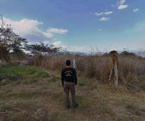 Estancado proyecto para dar tierras incautadas a campesinos