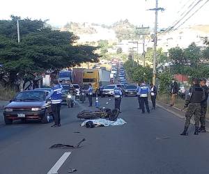 La fémina murió casi al instante luego de ser embestida por un vehículo que viajaba a alta velocidad.