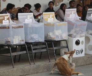 La presidenta del Instituto Nacional Electoral de México (INE), Guadalupe Taddei Zavala, aseguró que las elecciones de este domingo 2 de junio se desarrollan sin incidentes mayores.