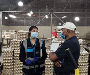 Las empresas fueron sancionadas por no presentar facturas que justifican el precio de la compra y venta de huevos en el Distrito Central.