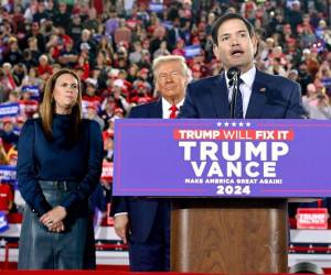 Según el diario The New York Times el presidente Donald Trump planea ofrecerle el cargo de Secretario de Estado al senador cubano de Florida, Marco Rubio. El político acompañó al reelegido mandatario durante su campaña a la presidencia de Estados Unidos.