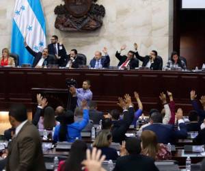 El único consenso hasta ahora en el Congreso es no, por mayoría.