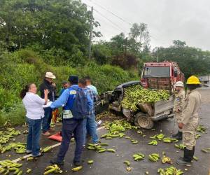 El conductor del vehículo con un cargamento de plátanos murió tras el impacto.