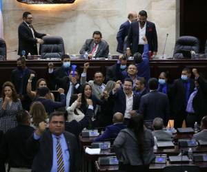 Los diputados del Congreso Nacional pueden interpelar al jefe del Estado Mayor Conjunto de las Fuerzas Armadas cuando lo estimen conveniente, según el comisionado general en condición de retiro, Leandro Osorio.