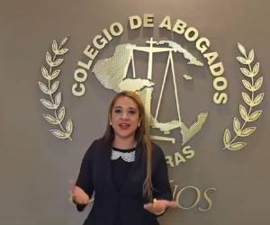 La abogada Ana Cardona fue ratificada como presidenta del Tribunal de Honor tras una sesión marcada por la tensión.