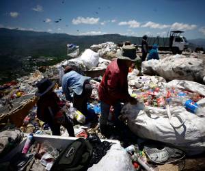 Alrededor de 10 mil pepenadores deambulan la capital buscando residuos sólidos; unos 300 recogen material en el crematorio municipal.