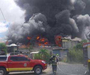 El incendio de grandes proporciones se divisaba desde varios kilómetros.