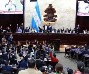 El Congreso Nacional y su parálisis histórica ha retrasado la agenda.