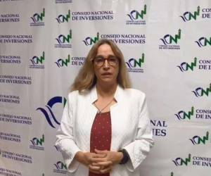 La secretaria del CNI dijo que para los dos regímenes que se crearán con la iniciativa los períodos de beneficios fiscales son muy cortos.