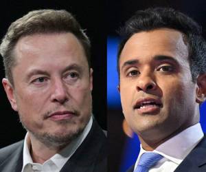 Elon Musk y Vivek Ramaswamy fueron los elegidos por Donald Trump.