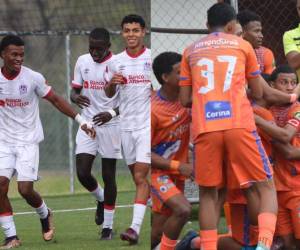 Leones y Lobos fueron de los equipos más regulares durante el campeonato.