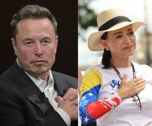 “¡Apoya a María Corina!”, fue parte del mensaje de Musk en respuesta de una reunión entre Corina Machado y el presidente de Argentina, Javier Milei.