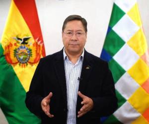 El presidente de Bolivia, Luis Arce, convocó a una movilización.