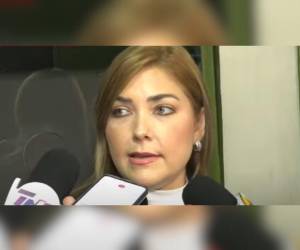 Ana Paola Hall aseguró que no hay consensos para elegir al presidente del CNE.