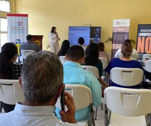 Un grupo de emprendedores de Comayagua se reunieron en las instalaciones de la Cámara de Comercio para recibir la capacitación y conocer sobre la Ley de Propiedad Industrial y Derecho de Autor.