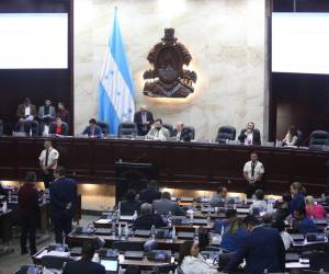 El martes 20 de agosto el Congreso Nacional aprobará el presupuesto, mientras esta semana discute la aprobación del decreto especial de compras para el CNE.