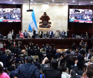 Las audiencias públicas serán desarrollada del 8 al 12 de mayo, periodo en el que el dictamen será llevado a la cámara legislativa para ser discutido.