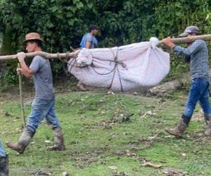 Siete personas quedaron soterradas este sábado luego del derrumbe de sus viviendas debido a la saturación de los suelos provocadas por las fuertes lluvias que han azotado el país, especialmente en el occidente.