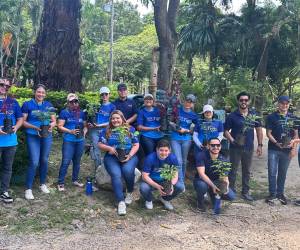 Voluntarios de Tigo plantando árboles en un vivero como parte de la iniciativa Juntos con Tigo por una Honduras Verde.