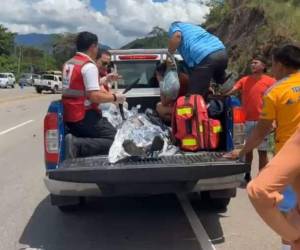 Personal de la Cruz Roja Hondureña arribó a la altura del kilómetro 152 de la carretera CA-5 para auxiliar al hombre.