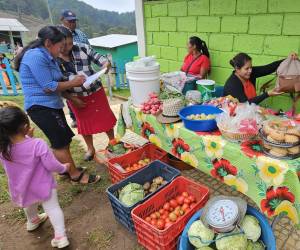 El programa fomenta una mayor sostenibilidad en la producción agrícola, como el café y otros cultivos tradicionales.