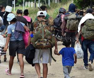 Los expertos proyectan que el tránsito de extranjeros de manera irregular por Honduras este año podría llegar a más de 800,000 personas.