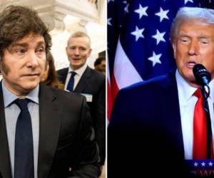 Según el portavoz presidencial de Javier Milei, el recién electo mandatario de EUA, Donald Trump le hizo saber al argentino que es su presidente “favorito”.