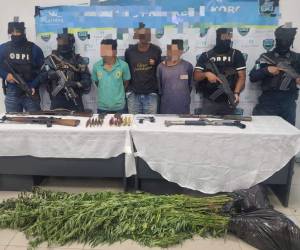 A los tres integrantes de la banda “El Viejón” se les decomisaron armas y plantas de marihuana.