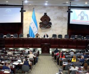 Los diputados del Congreso Nacional volverán a las sesiones legislativas luego de más de un mes de haber estado inactivo.