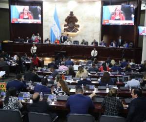 El tercer debate para aprobar esta ley fue puesto en la agenda del Congreso Nacional.