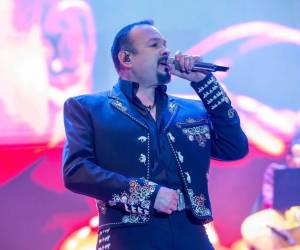 El cantautor Pepe Aguilar recibirá el Premio Billboard Salón de la Fama en la próxima ceremonia de estos galardones dedicados a la música latina, que se desarrollará en Miami. Estos son los detalles que trascienden.